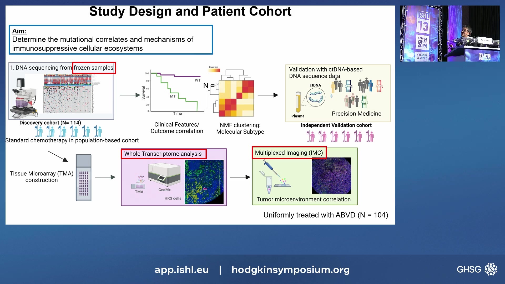 Multi-Dimensional Profiling Unveils Distinct Molecular Subtypes in Classic Hodgkin Lymphoma